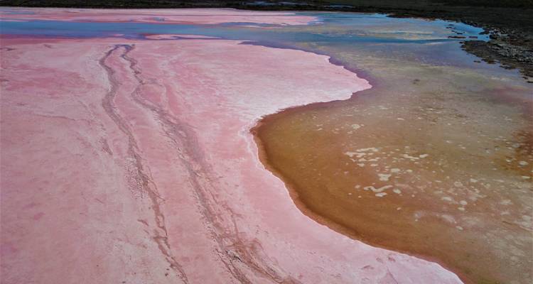 Vue aérienne d'un lac salé rose avec un littoral.
