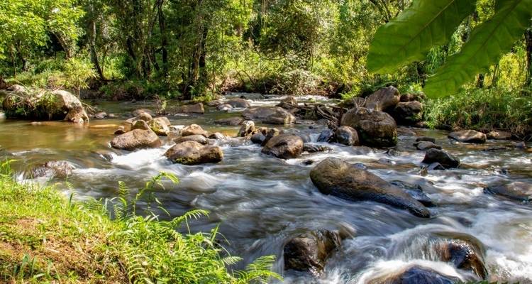 Viaje por carretera a Sudáfrica: glamping salvaje, Kruger y Ciudad del Cabo (11 destinations) - journaway 9