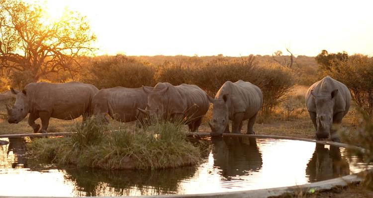 Viaje por carretera a Sudáfrica: glamping salvaje, Kruger y Ciudad del Cabo (11 destinations) - journaway 7