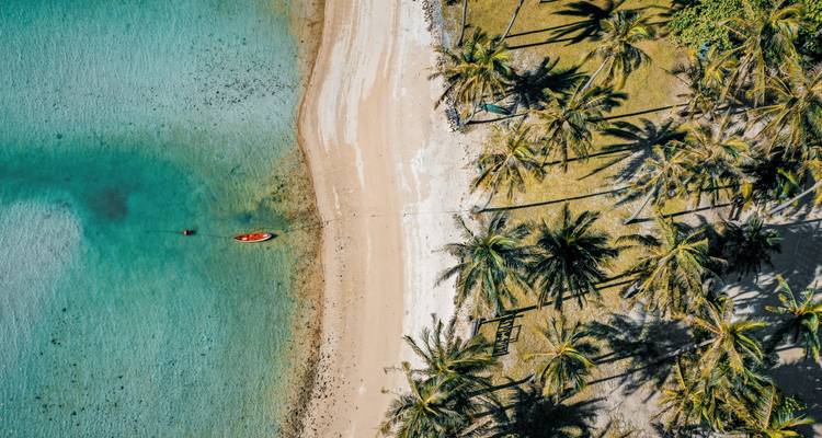 Luchtfoto van een ongerept strand met helder turquoise water and palmbomen.