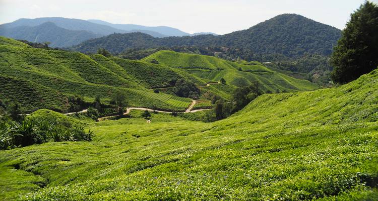 Malaysia Bucketlist: Caves, Highlands & Island Adventure - journaway 2