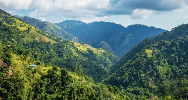Jamaïque Jam : road trip reggae & beach vibes ! - journaway 2