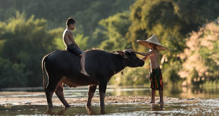 Vietnam Intenso: Perspectivas Locales y Maravillas de la Naturaleza (14 destinations) - journaway 2