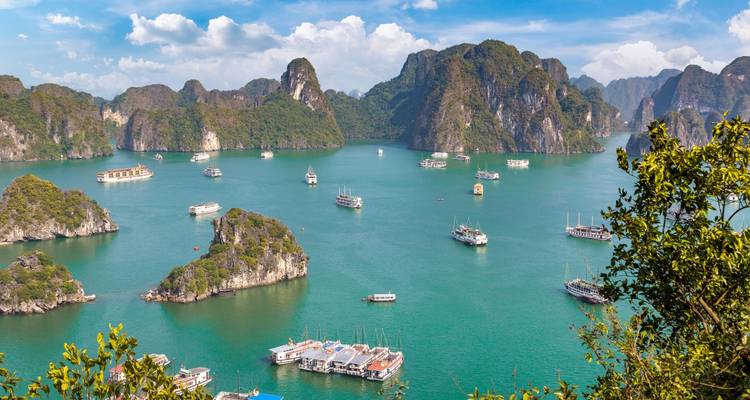 Vietnam Intenso: Perspectivas Locales y Maravillas de la Naturaleza (14 destinations) - journaway 10