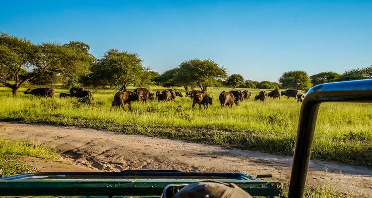 Viaje por carretera a Sudáfrica: Glamping salvaje y Safari Kruger (10 destinations) - journaway DACH 9