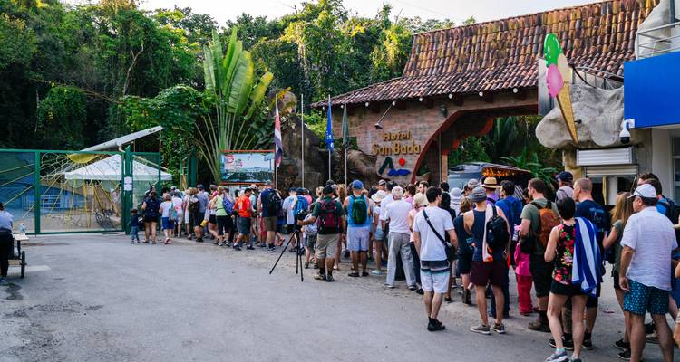 Costa Rica Bucketlist: ¡Noches de selva, vibraciones caribeñas y Pura Vida! - journaway 6