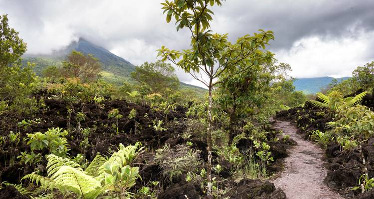 Costa Rica Bucketlist: ¡Noches de selva, vibraciones caribeñas y Pura Vida! - journaway 10