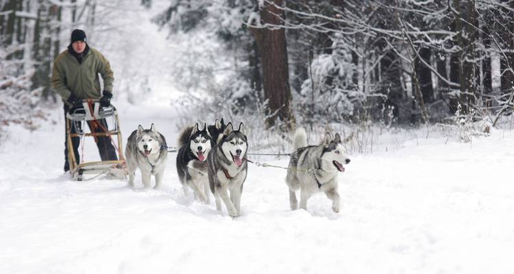 Viaje por carretera al Ártico: ¡Aventura con huskies y luces polares! (5 destinations) - journaway 1