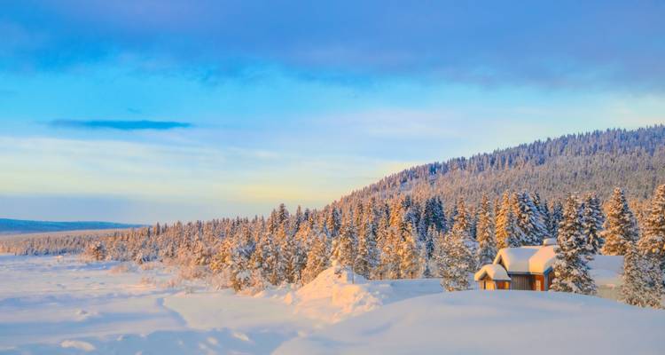 Viaje por carretera al Ártico: ¡Aventura con huskies y luces polares! (5 destinations) - journaway 8