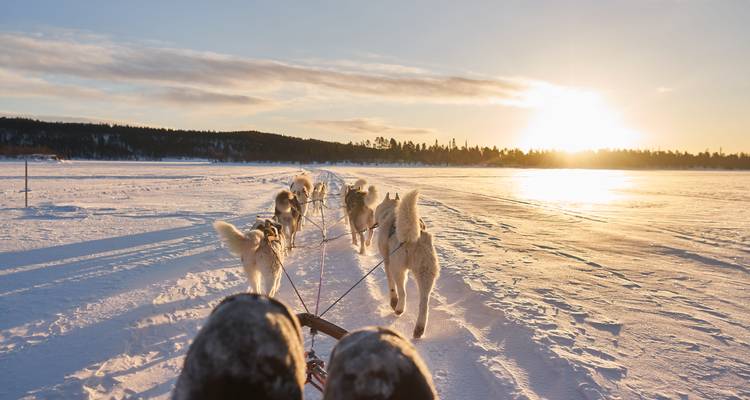 Viaje por carretera al Ártico: ¡Aventura con huskies y luces polares! (5 destinations) - journaway 7