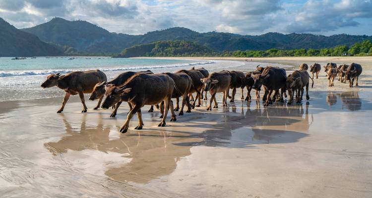 Bali, Gili y Lombok: De la excursión al amanecer al paraíso del surf (7 destinations) - journaway 4
