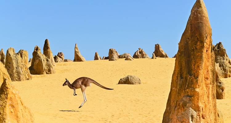 Vida en furgoneta en Australia: Maravillas de la Costa Oeste y vibraciones del Outback - journaway DACH 3