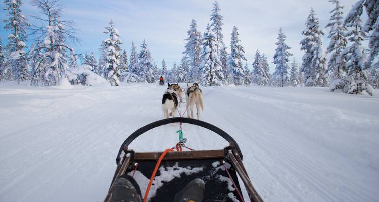 Arctic Road Trip: Husky Adventure & Polar Lights (6 destinations) - journaway 9