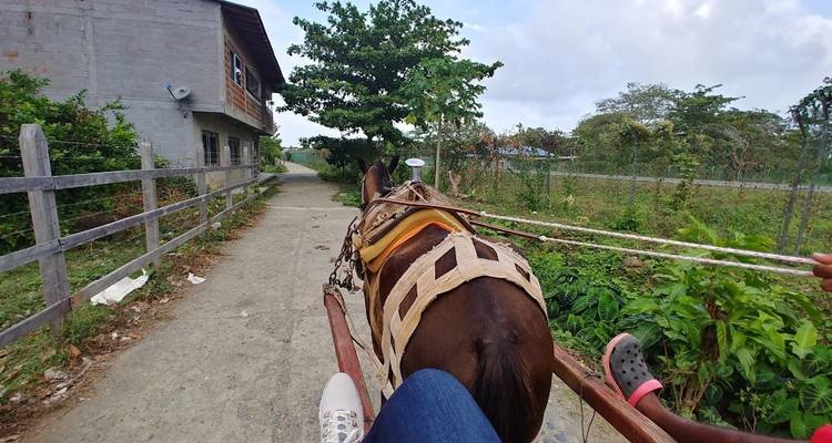 Circuito privado todo incluido al paraíso de la Selva de Capurganá - World Awaits Cultural Tours LLC 1