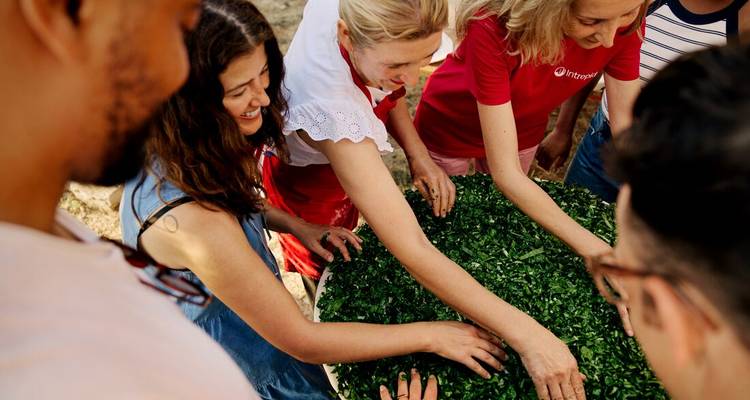 Los participantes toman de una bandeja redonda de verduras picadas durante un taller de cocina