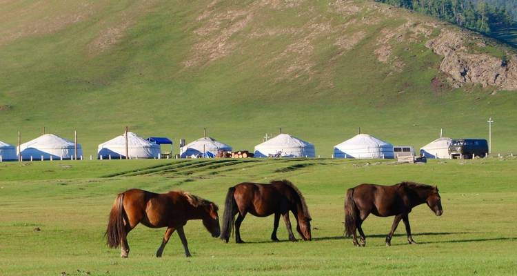 Tesoros de Mongolia/Jun - Sep/ - Tour Mongolia 10
