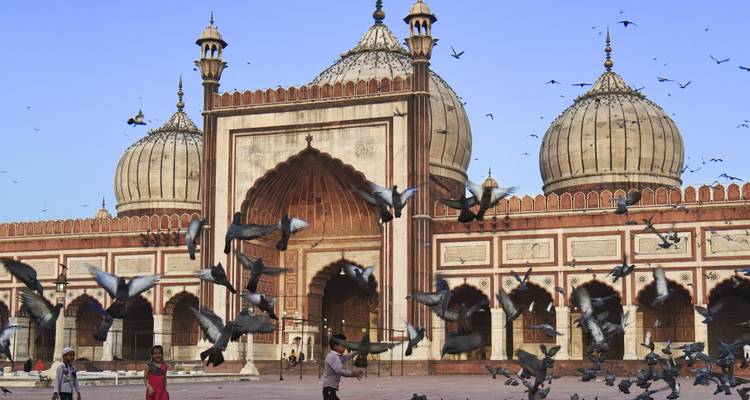 Jama Masjid in Delhi met vogels die erover vliegen.