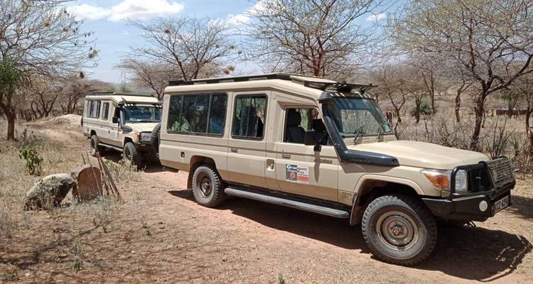 Safari de lujo combinado de 6 días en Kenia y Tanzania - Gracepatt Ecotours Kenya 7