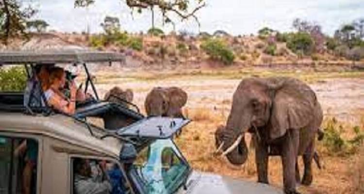 El itinerario perfecto primera vez 2 días en Tanzania - Tarangire y cráter del Ngorongoro con precio razonable. - Africa Natural Tours 1