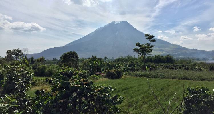 Circuito privado de 7 días por lo más destacado de Sumatra - Discover Sumatra 9