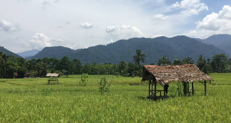 Circuit en groupe de 8 jours à travers le nord de Sumatra - Discover Sumatra 4