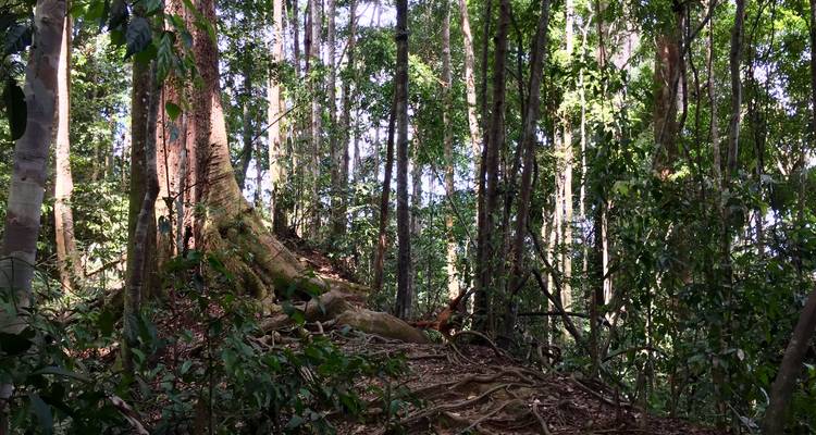 Circuit en groupe de 8 jours à travers le nord de Sumatra - Discover Sumatra 9