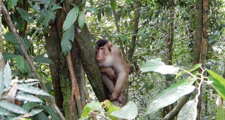 2 semanas de circuito privado por Sumatra - Discover Sumatra 8