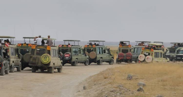 Paquete safari Volador de 3 días en Samburu - Gracepatt Ecotours Kenya 7