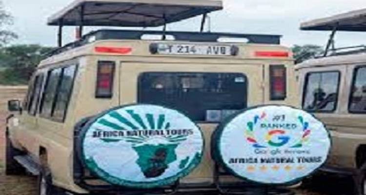 Paquete perfecto de safari económico de 5 días en Tanzania, diseñado para quienes se aventuran por primera vez. - Africa Natural Tours 2