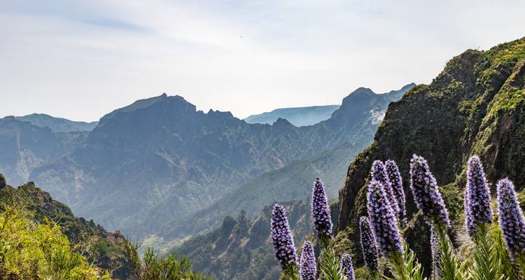 Madeira - Pearl in the Atlantic Ocean - Oasis Travel 4