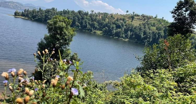 Itinéraire de 4 jours Au Rwanda - Expérience avec les gorilles -Luxe - Classic Journeys Africa Ltd 2