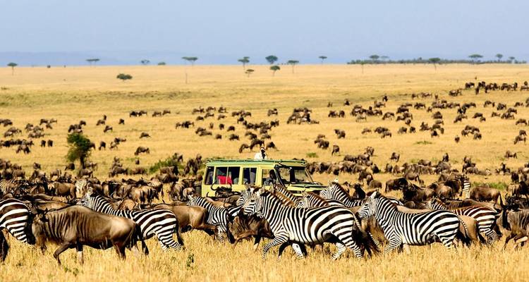 VOYAGE CLASSIQUE SAFARI KIFARU - Classic Journeys Africa Ltd 6