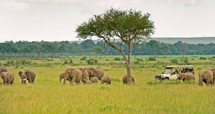 VOYAGE CLASSIQUE SAFARI KIFARU - Classic Journeys Africa Ltd 7
