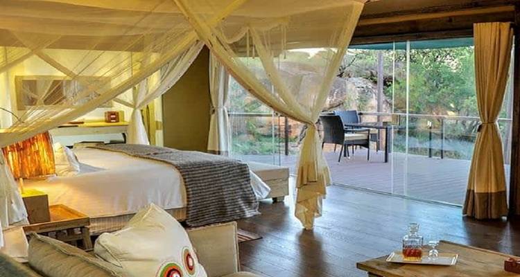 Experimenta la majestuosidad de la sabana africana con nuestro asequible safari de 10 días a los 5 Grandes de Tanzania. - Africa Natural Tours 6