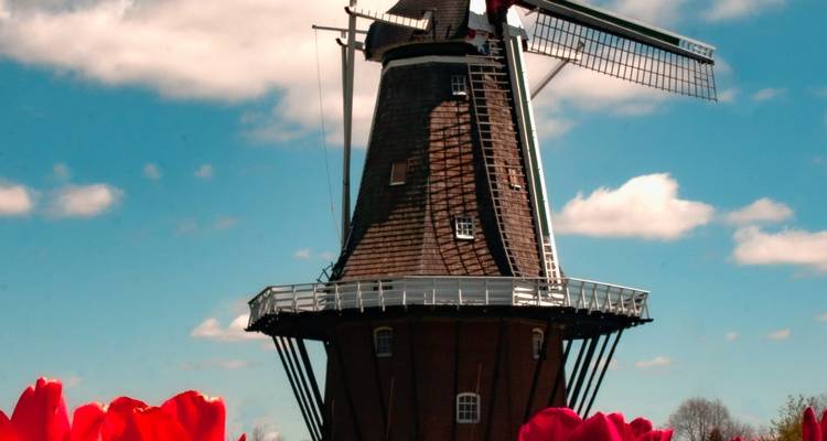 DÉCOUVERTE DE LA BELGIQUE : Bruxelles - Bruxelles MS VistaGracia - Crucemundo  4