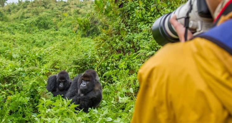 5 Días de Trekking por Ruanda con Gorilas y Monos Dorados - Alojamiento de Lujo - Classic Journeys Africa Ltd 3