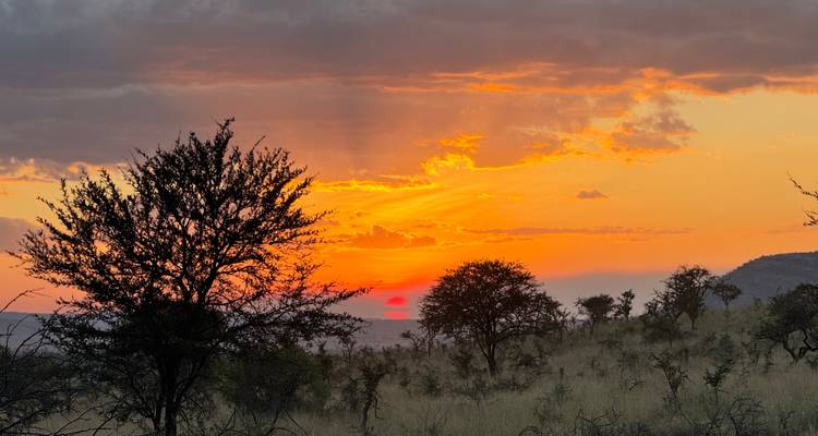 Best of Tanzania Classic Safari **Approche durable du voyage - World Adventure Tours 3