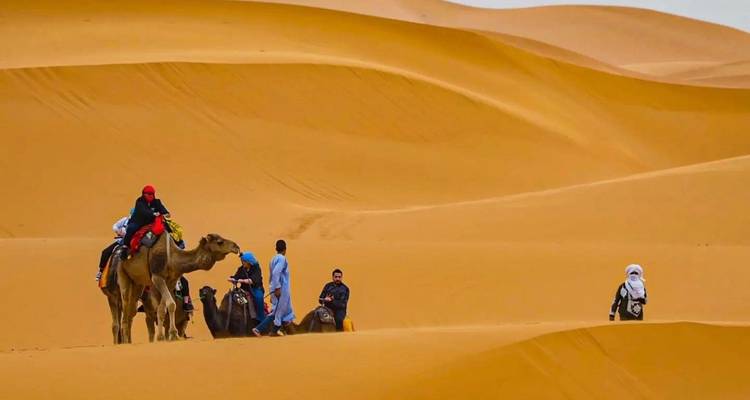Circuit dans le désert 8 jours de Casablanca aux dunes d'Erg Chigaga - Morhara Morocco Tours 7