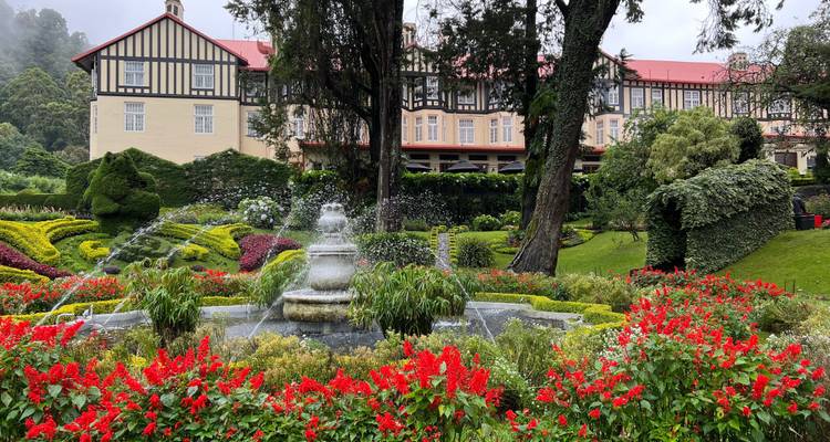 Garden with colorful flowers in front of a grand building