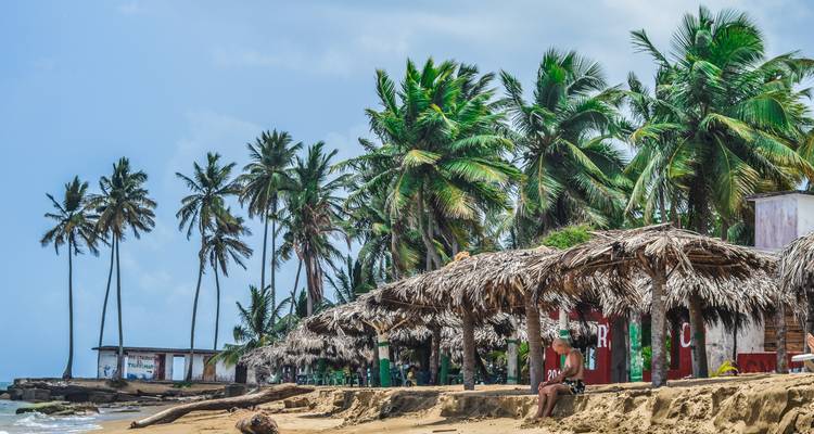 Plage tropicale avec des palmiers et une personne qui se détend