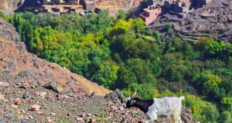 1 Day Tour Atlas Mountains & village to village Discover traditional culture - Morhara Morocco Tours 9