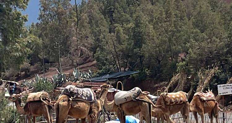 1 Day Tour Atlas Mountains & village to village Discover traditional culture - Morhara Morocco Tours 10