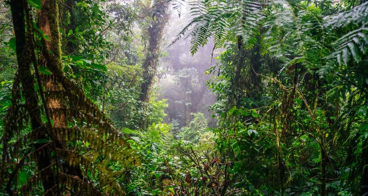 Costa Rica - Pacific to Caribbean Round Trip - Oasis Travel 7