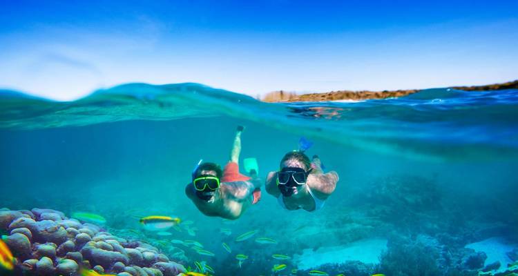 Discover Vietnam in 12 Days – One Trip, All Memories - Truong Sa Tourist 10