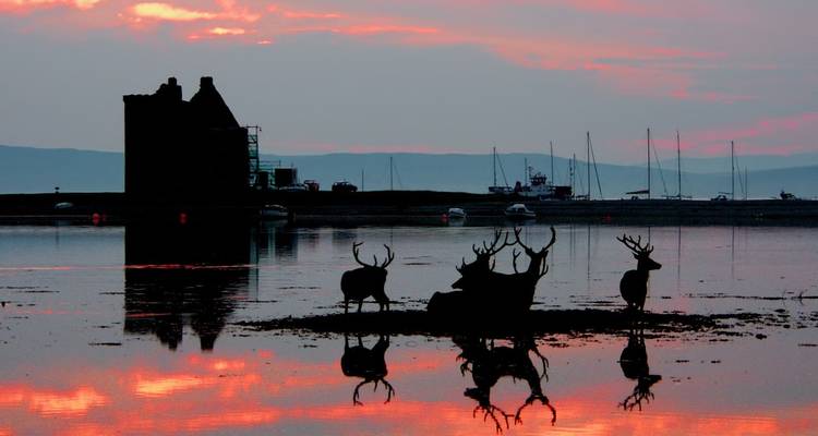 Island Hopping in the Hebrides - Hurtigruten 7