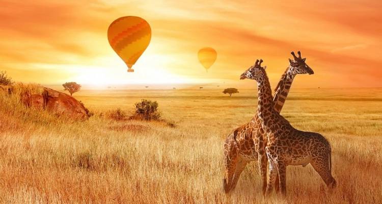 Join Us on the Ultimate 7-Day Serengeti Safari with Thrilling Hot Air Balloon Experience. - Africa Natural Tours 1