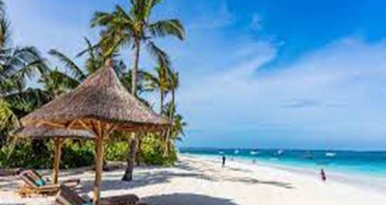 Strandszene mit Palmen und einem Sonnenschirm aus Stroh