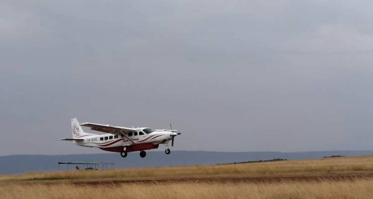 8Días Amboseli , Meru y Maasai Mara Safari de lujo con alojamiento y vuelos- Alta Gama - Gracepatt Ecotours Kenya 1