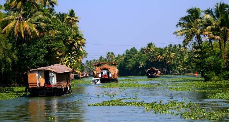 Kerala clásico - 9 días - On The Go Tours 1