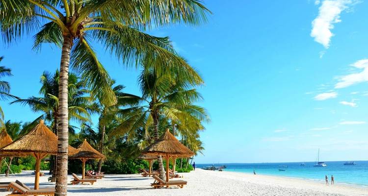 L'aventure ultime : 8 jours de safari en Tanzanie et visite de la plage de Zanzibar - à un prix abordable. - Africa Natural Tours 1